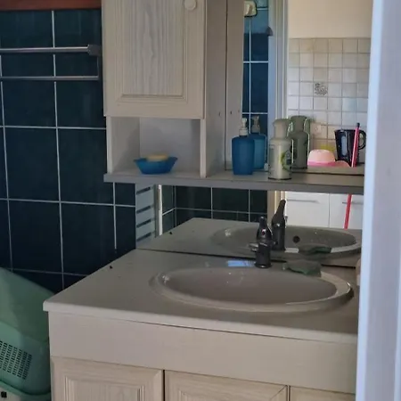 Les Ecureuils Et Les Chevreuils