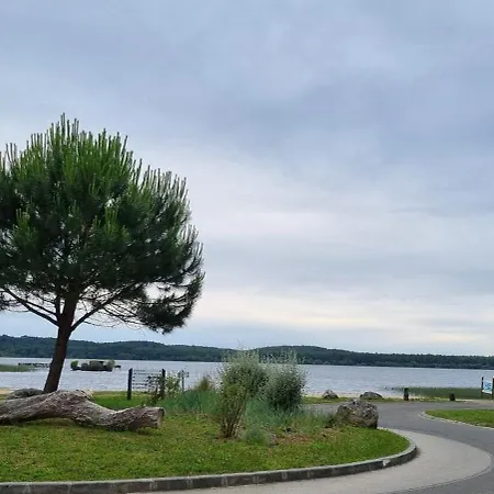 Les Ecureuils Et Les Chevreuils 폰텐스레포지스