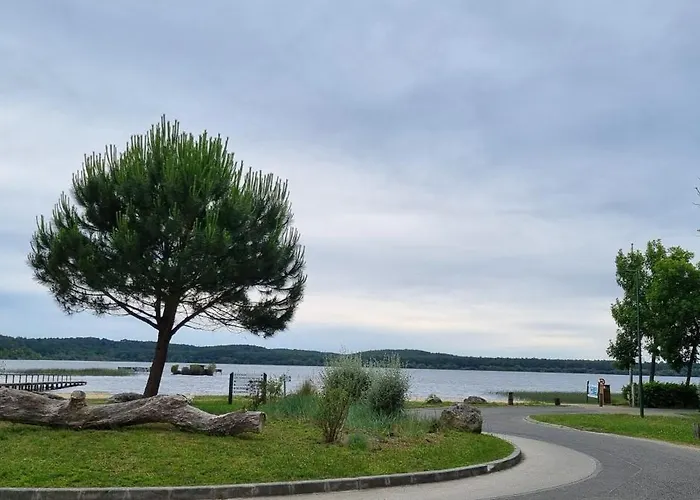 Les Ecureuils Et Les Chevreuils Pontenx-les-Forges